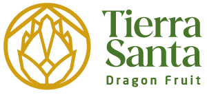 Tierra Santa